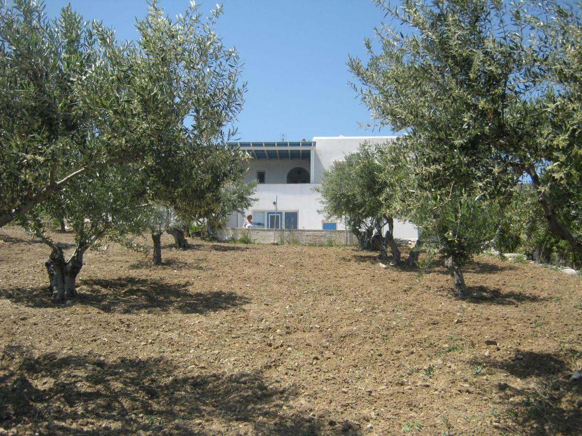 Dhragoulas Kafkis House, Paros 빌라 외부 사진
